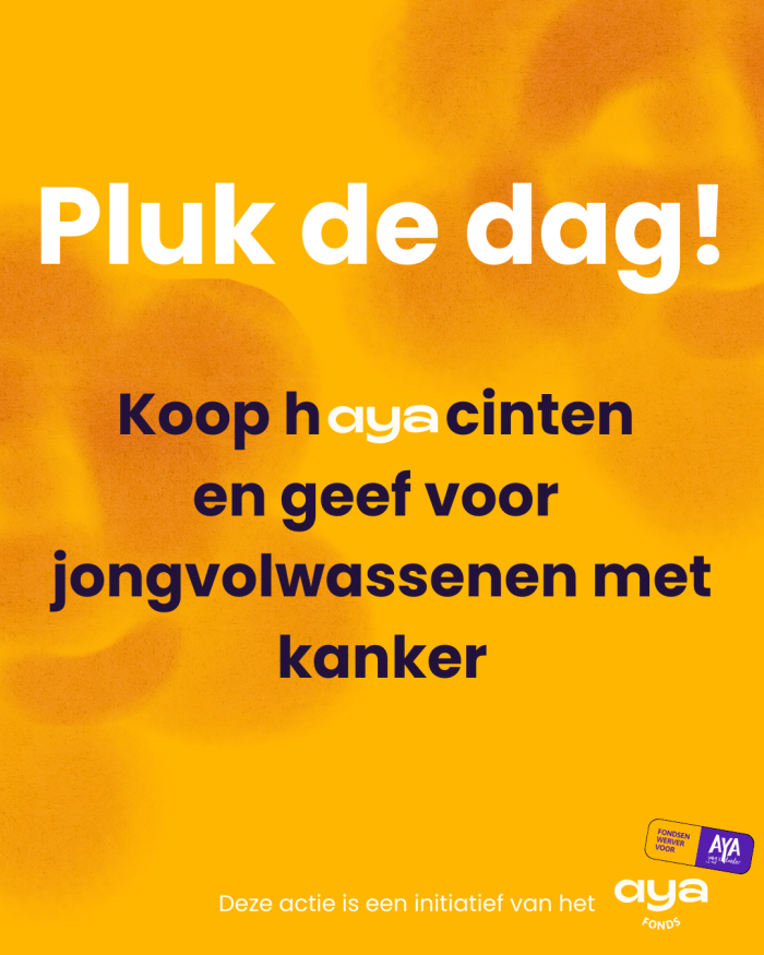 hayacintenactie-def.png
